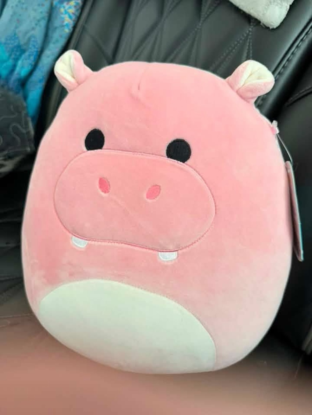 NWT Squishmallow